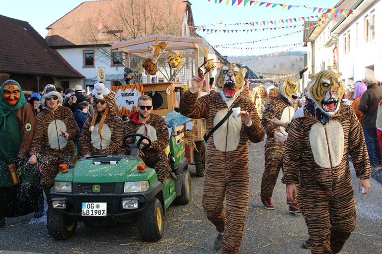 Jubiläumsumzug Schergässler